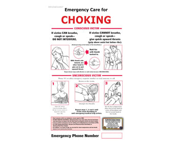 Emergency Choking Poster